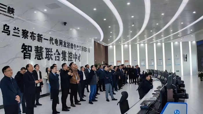 系统友好型新能源电站建设推进会成功举办