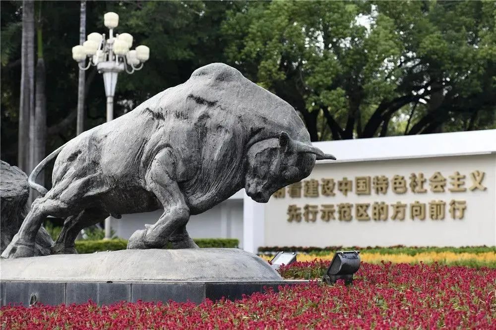 技能認證證書